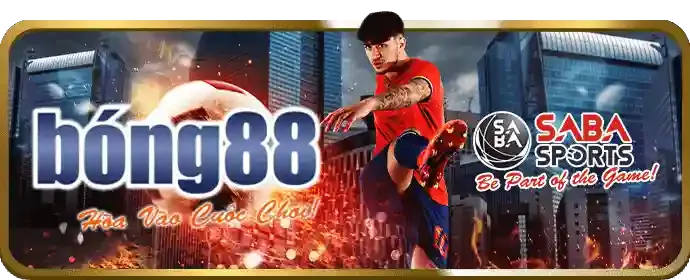 Liên hệ hợp tác yb88